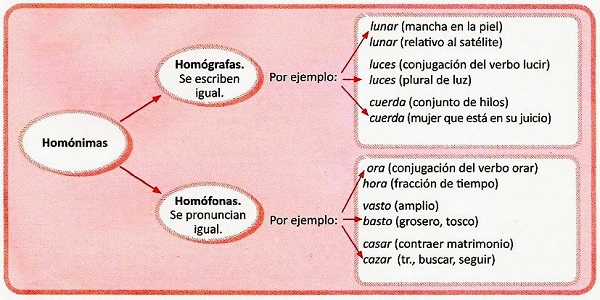 palabras homonimas, homografas y homofonas